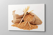 Kváskovanie Obraz zs1072